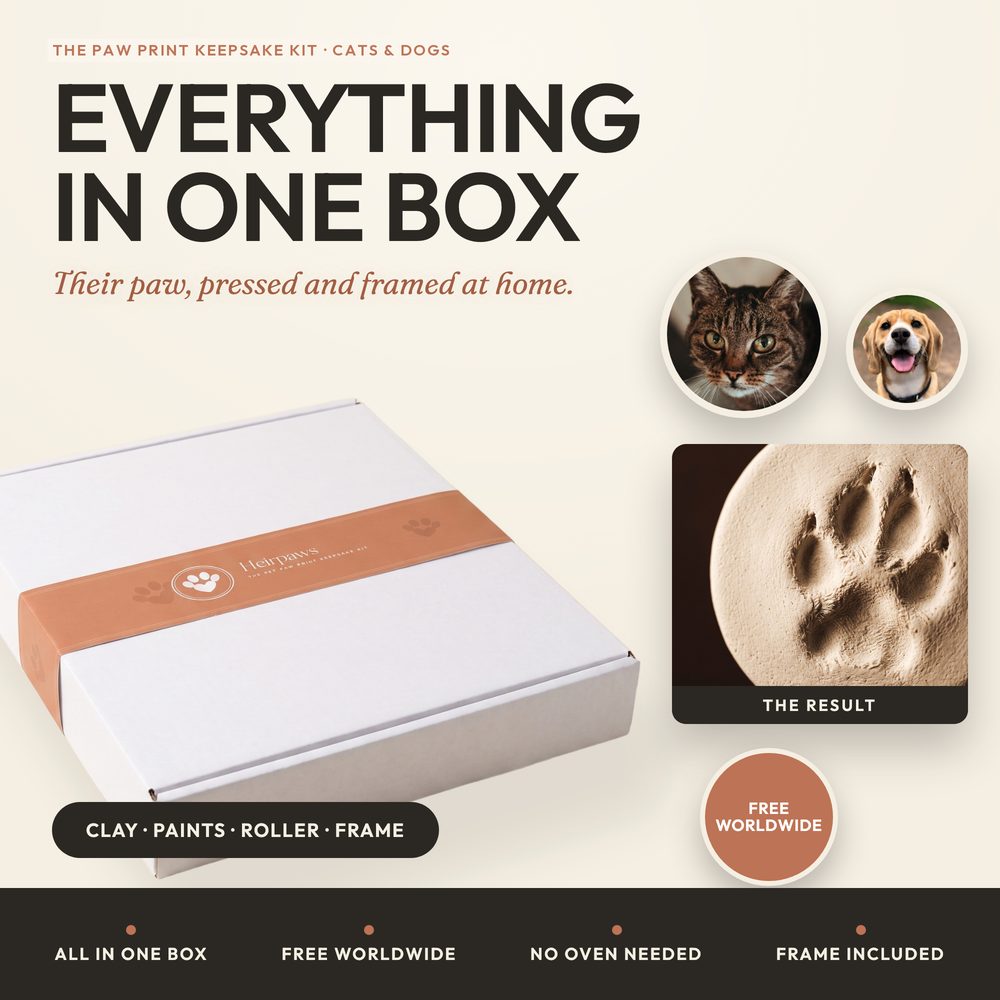 Paw Print Keepsake Kit — Air-Dry Clay