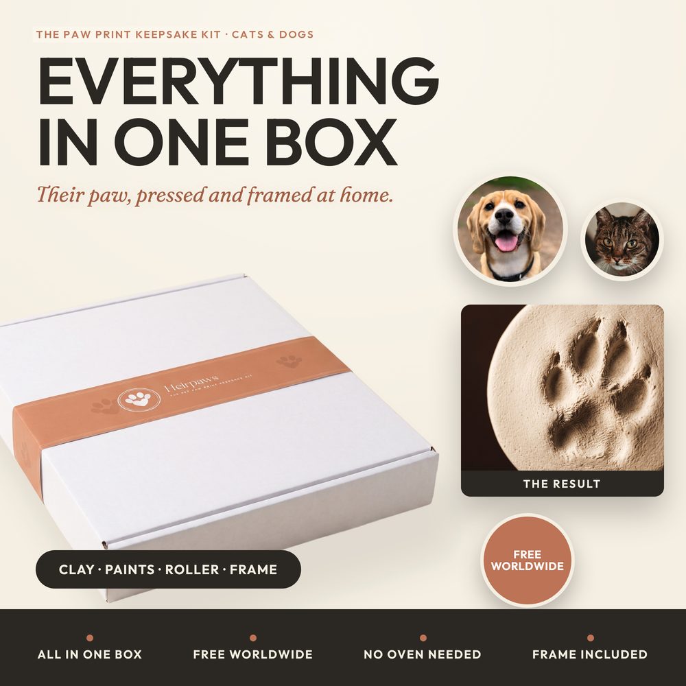 Paw Print Keepsake Kit — Air-Dry Clay — photo 2