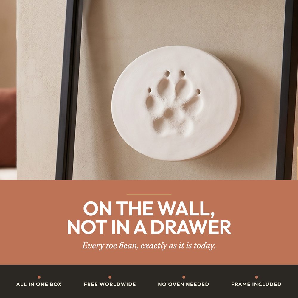 Paw Print Keepsake Kit — Air-Dry Clay — photo 5