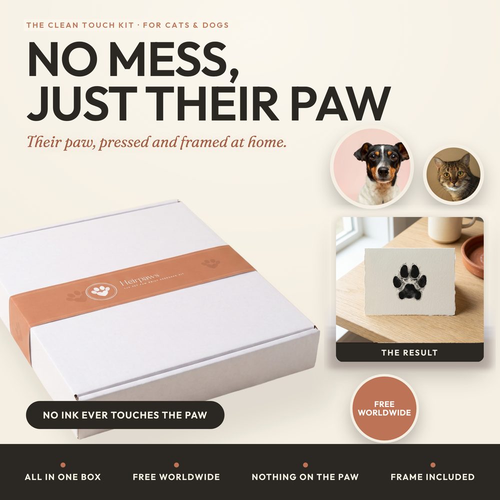 Inkless Paw Print Kit — Clean Touch — photo 2