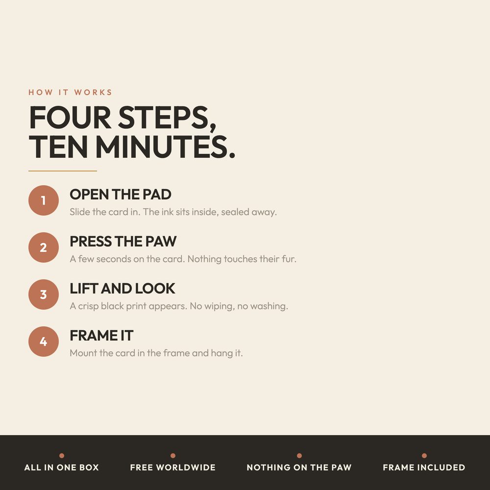 Inkless Paw Print Kit — Clean Touch — photo 4