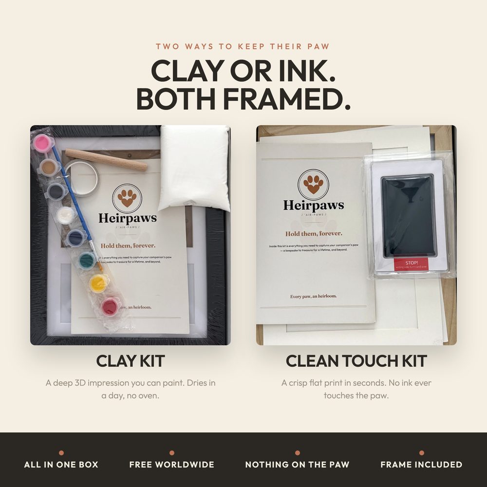 Inkless Paw Print Kit — Clean Touch — photo 7