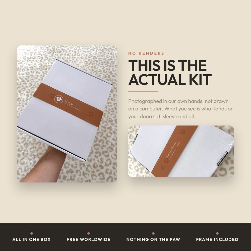 Inkless Paw Print Kit — Clean Touch — photo 8