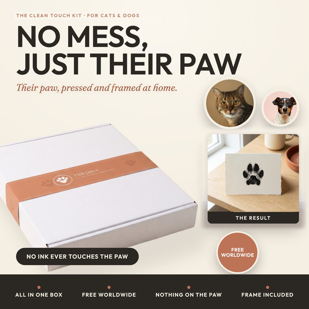 Inkless Paw Print Kit — Clean Touch